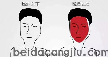 为什么喝酒会脸红，怎么喝酒不会脸红？